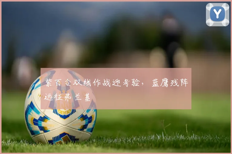 紫百合双线作战迎考验，蓝鹰残阵远征弗兰基